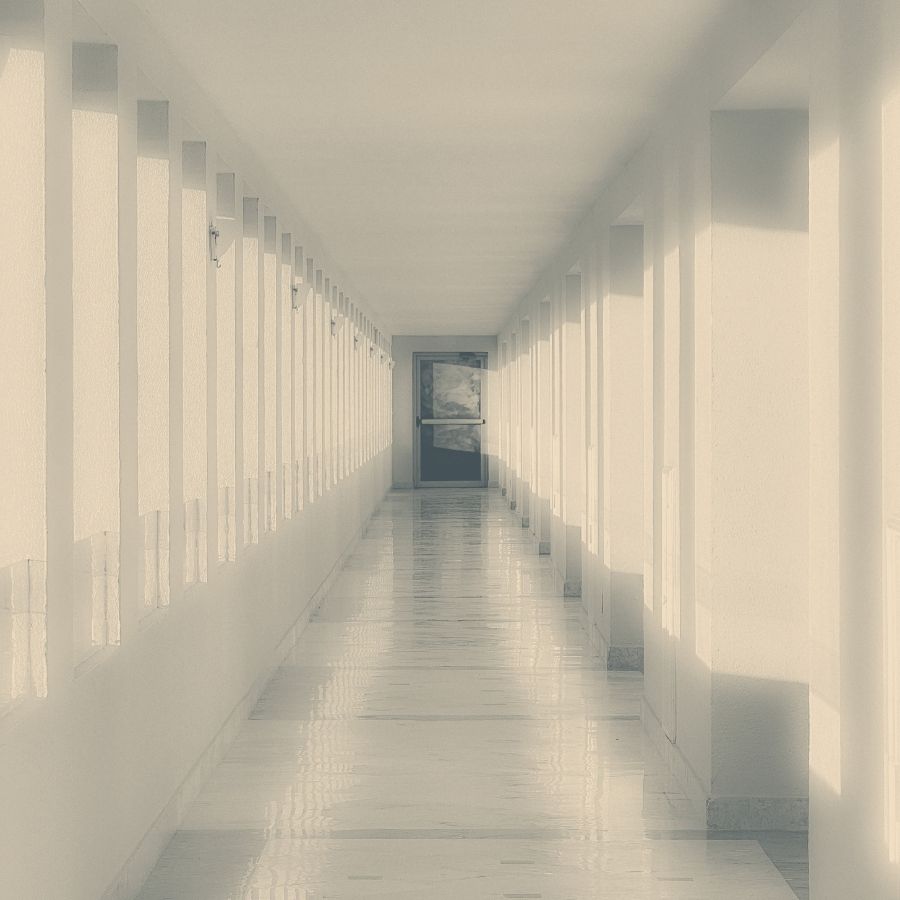 An office corridor of windows in warm light.